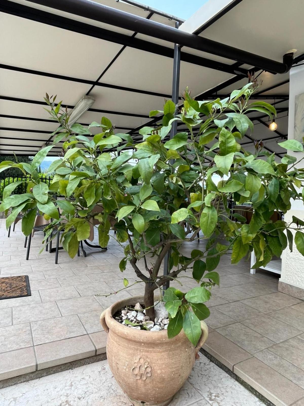 Locanda Moscal Affi Ngoại thất bức ảnh